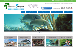 shashwat web technologies