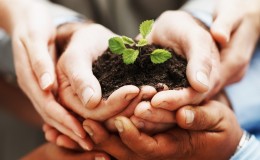 bigstock Business Growth Hands Holdin